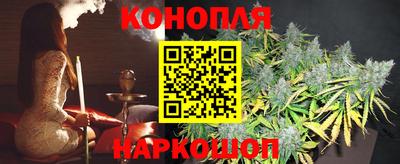 шишки Сосновый Бор