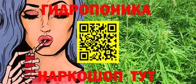 apvp Краснознаменск