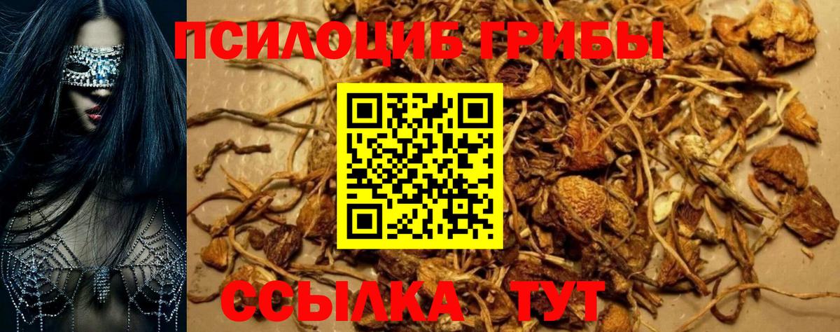 Псилоцибиновые грибы MAGIC MUSHROOMS Камышин