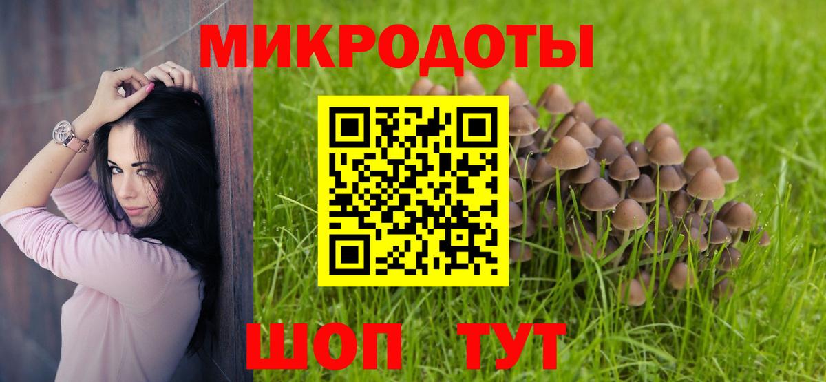 Камышин  Галлюциногенные грибы GOLDEN TEACHER  Вход с VPN 